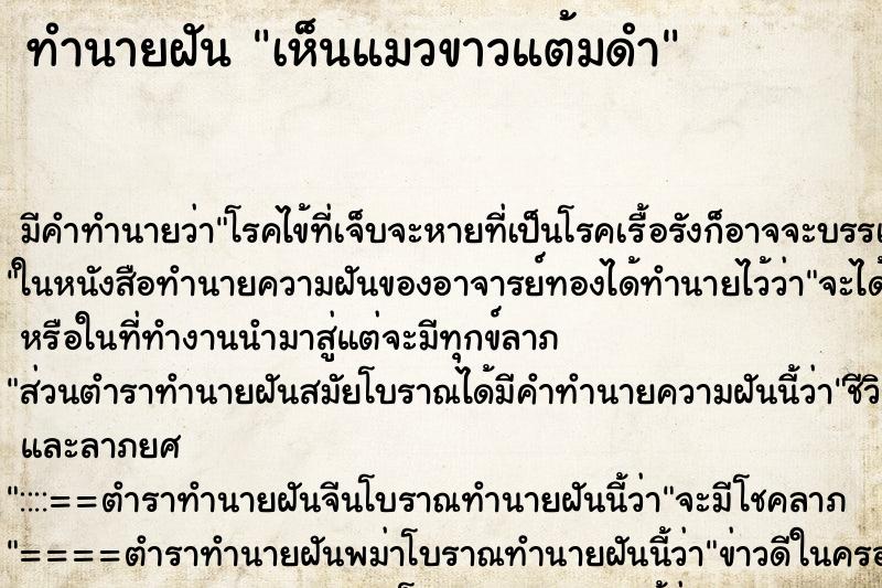 ทำนายฝันเห็นแมวขาวแต้มดำ ทำนายฝันทำนายฝันเห็นแมวขาวแต้มดำ