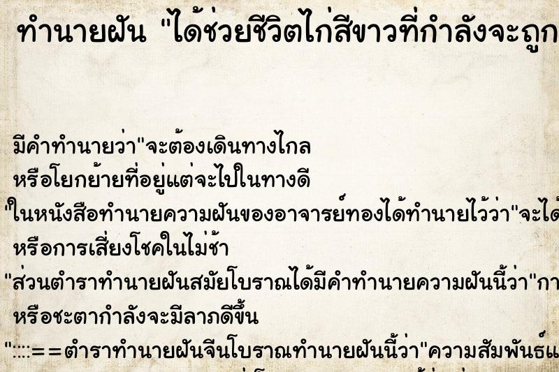 ทำนายฝันได้ช่วยชีวิตไก่สีขาวที่กำลังจะถูกฆ่า ทำนายฝันทำนายฝันได้ช่วยชีวิตไก่สีขาวที่กำลังจะถูกฆ่า
