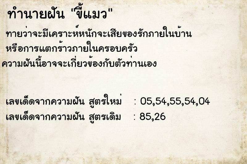 ทำนายฝัน ขี้แมว ทำนายฝัน ขี้แมว