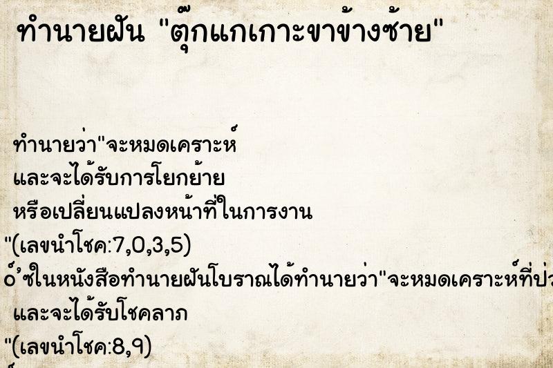 ทำนายฝัน ตุ๊กแกเกาะขาข้างซ้าย