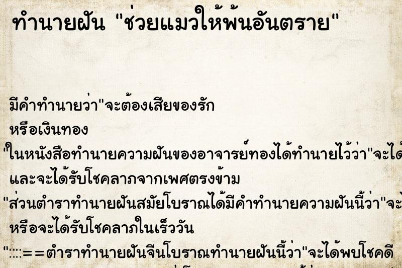 ทำนายฝันทำนายฝันช่วยแมวให้พ้นอันตราย