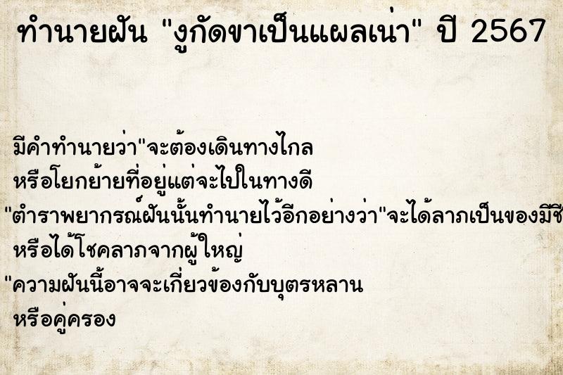 ทำนายฝัน งูกัดขาเป็นแผลเน่า ทำนายฝัน งูกัดขาเป็นแผลเน่า
