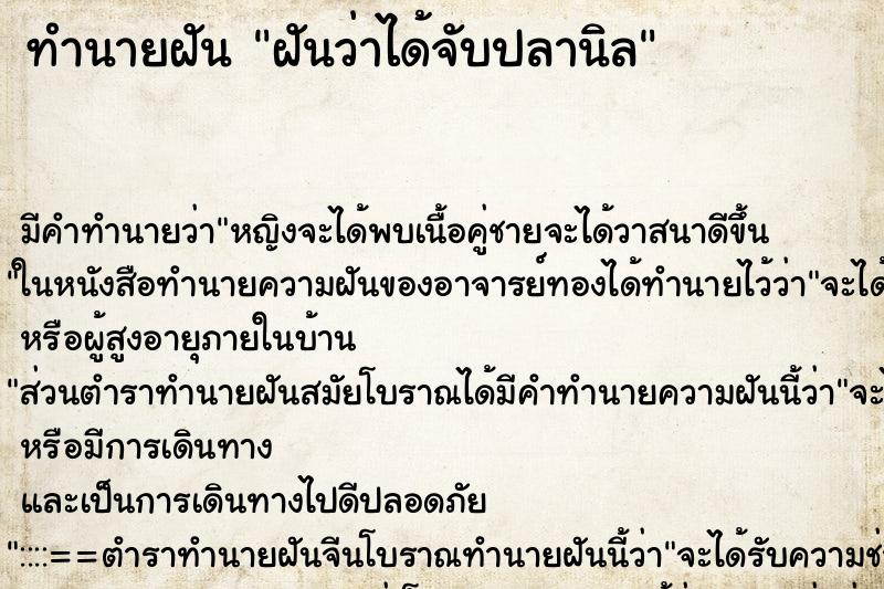 ทำนายฝันฝันว่าได้จับปลานิล ทำนายฝันทำนายฝันฝันว่าได้จับปลานิล