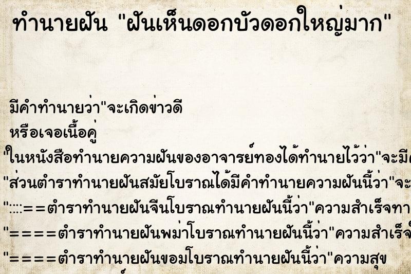 ทำนายฝัน ฝันเห็นดอกบัวดอกใหญ่มาก ทำนายฝัน ฝันเห็นดอกบัวดอกใหญ่มาก