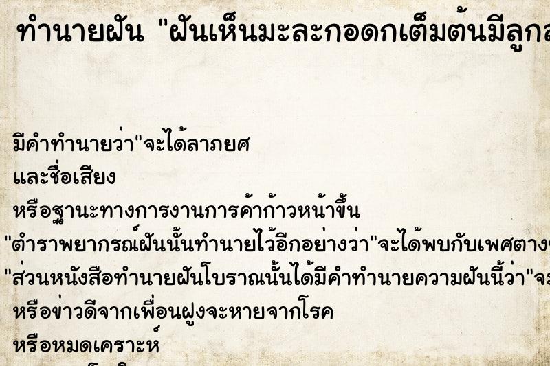 ทำนายฝันฝันเห็นมะละกอดกเต็มต้นมีลูกสุกลูกดิบ ทำนายฝันทำนายฝันฝันเห็นมะละกอดกเต็มต้นมีลูกสุกลูกดิบ