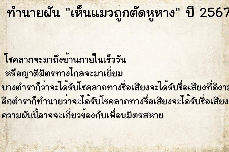 ทำนายฝันเห็นแมวถูกตัดหูหาง ทำนายฝันทำนายฝันเห็นแมวถูกตัดหูหาง