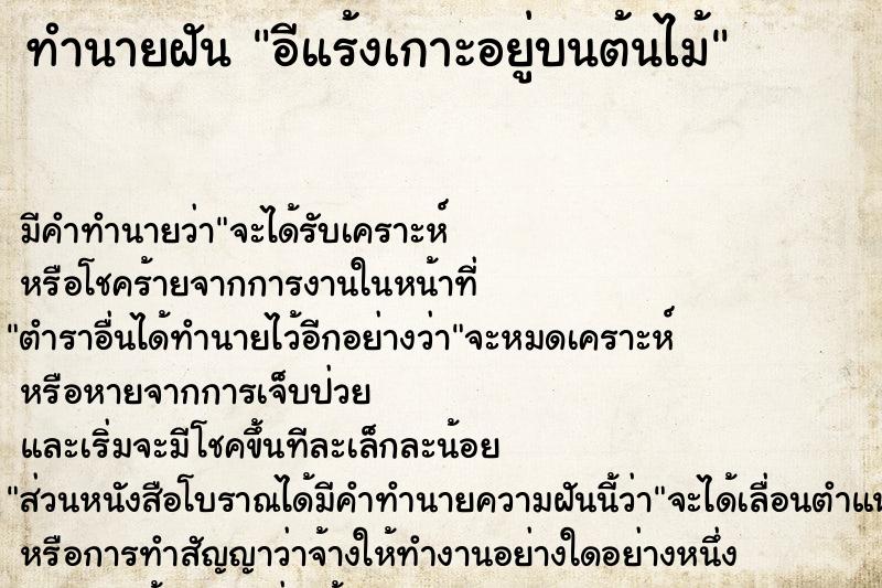 ทำนายฝัน อีแร้งเกาะอยู่บนต้นไม้ ทำนายฝัน อีแร้งเกาะอยู่บนต้นไม้