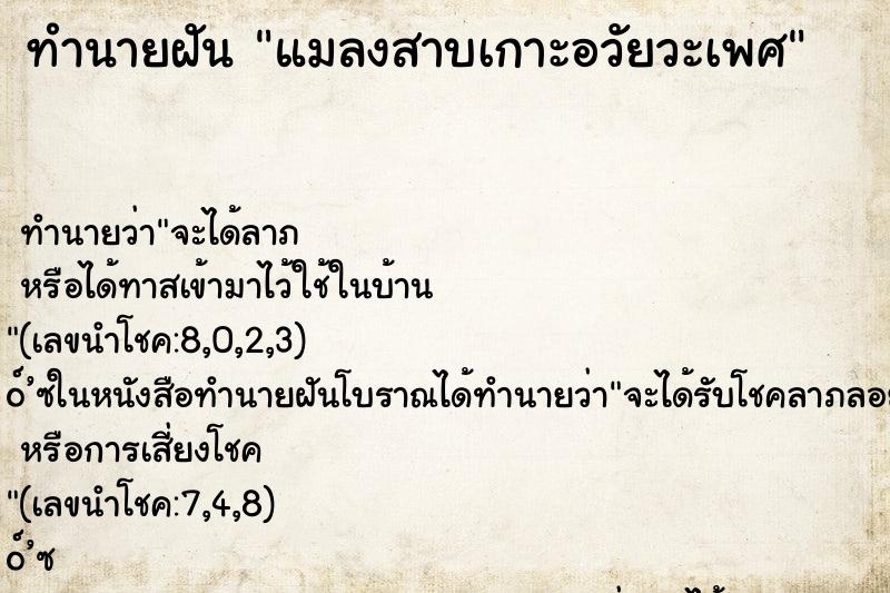 ทำนายฝัน แมลงสาบเกาะอวัยวะเพศ