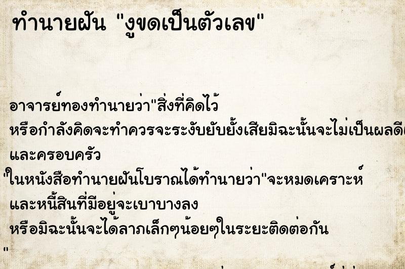 ทำนายฝันงูขดเป็นตัวเลข ทำนายฝันทำนายฝันงูขดเป็นตัวเลข