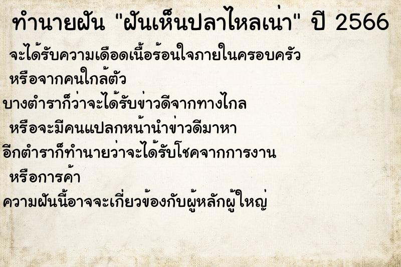 ทำนายฝันฝันเห็นปลาไหลเน่า ทำนายฝันทำนายฝันฝันเห็นปลาไหลเน่า