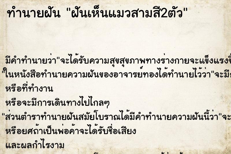 ทำนายฝัน ฝันเห็นแมวสามสี2ตัว
