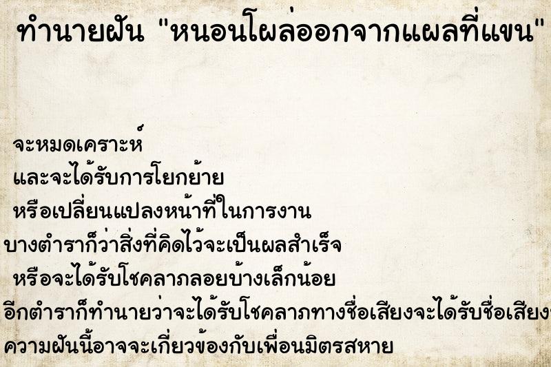 ทำนายฝันหนอนโผล่ออกจากแผลที่แขน ทำนายฝันทำนายฝันหนอนโผล่ออกจากแผลที่แขน