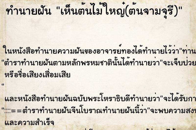 ทำนายฝัน เห็นต้นไม้ใหญ๋(ต้นจามจุรี)