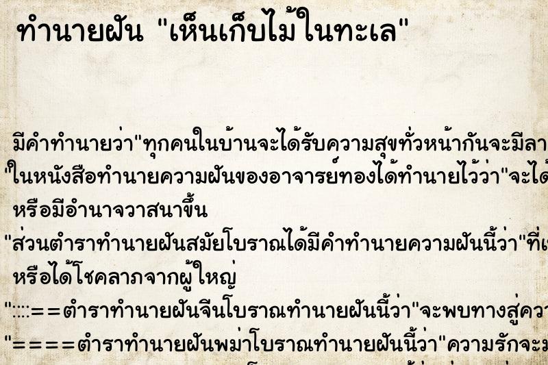 ทำนายฝันทำนายฝันเห็นเก็บไม้ในทะเล