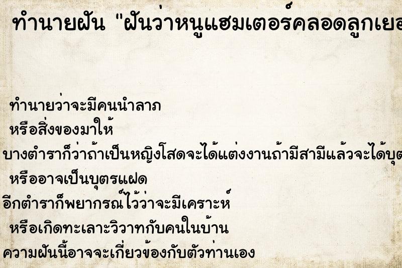 ทำนายฝันฝันว่าหนูแฮมเตอร์คลอดลูกเยอะมากกว่า10ตัว ทำนายฝันทำนายฝันฝันว่าหนูแฮมเตอร์คลอดลูกเยอะมากกว่า10ตัว