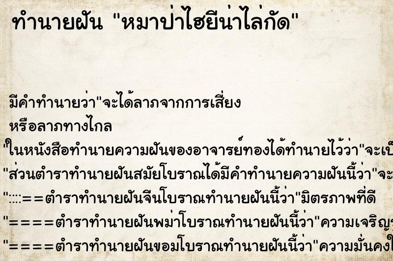 ทำนายฝัน หมาป่าไฮยีน่าไล่กัด