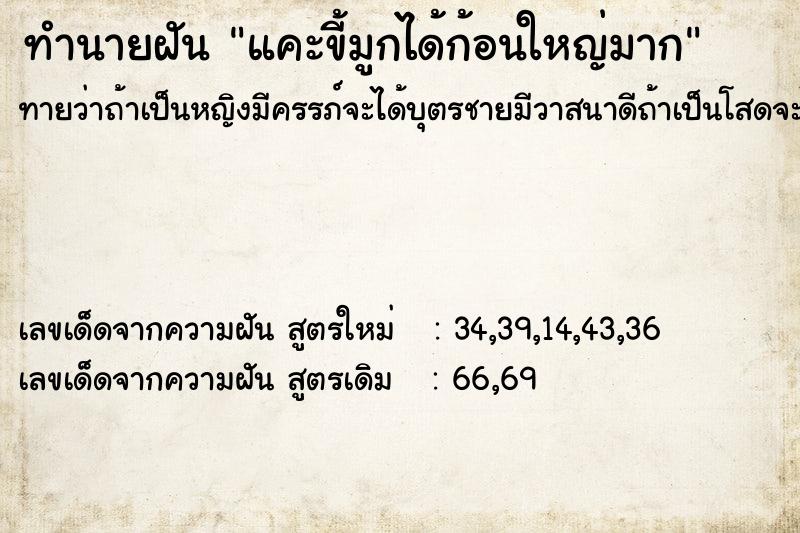 ทำนายฝัน แคะขี้มูกได้ก้อนใหญ่มาก ทำนายฝัน แคะขี้มูกได้ก้อนใหญ่มาก