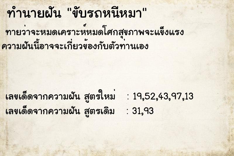 ทำนายฝัน ขับรถหนีหมา ทำนายฝัน ขับรถหนีหมา
