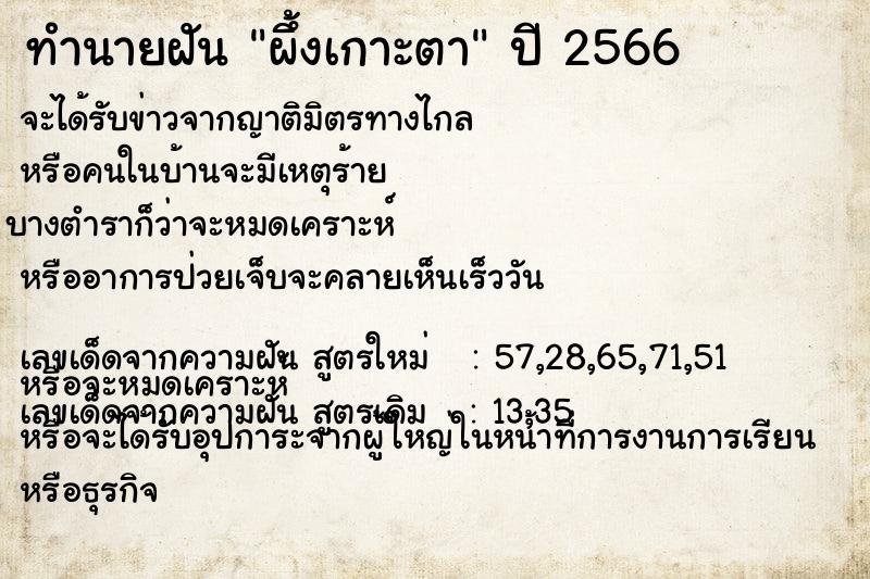 ทำนายฝัน ผึ้งเกาะตา ทำนายฝัน ผึ้งเกาะตา