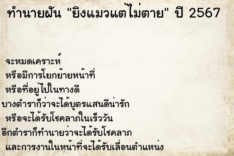 ทำนายฝันยิงแมวแต่ไม่ตาย ทำนายฝันทำนายฝันยิงแมวแต่ไม่ตาย