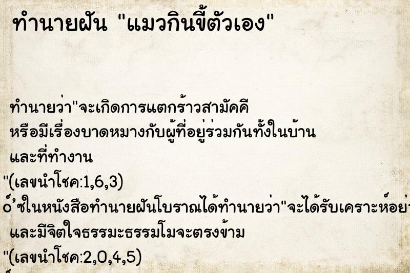 ทำนายฝัน แมวกินขี้ตัวเอง