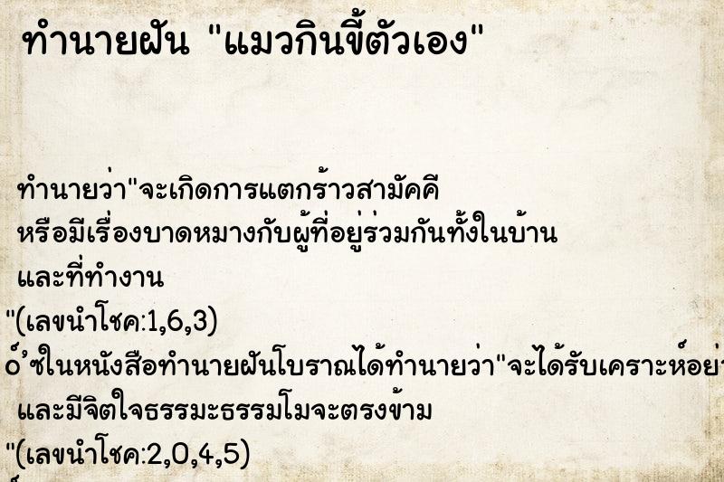 ทำนายฝัน แมวกินขี้ตัวเอง ตำราโบราณ แม่นที่สุดในโลก