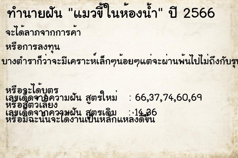 ทำนายฝัน แมวขี้ในห้องน้ำ ทำนายฝัน แมวขี้ในห้องน้ำ