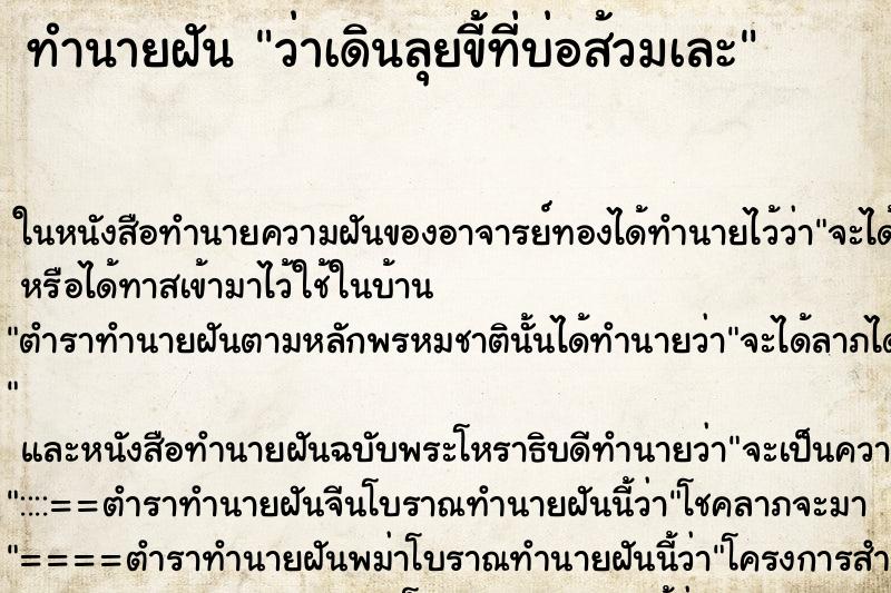 ทำนายฝัน ว่าเดินลุยขี้ที่บ่อส้วมเละ