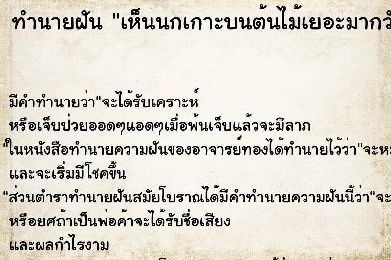 ทำนายฝันเห็นนกเกาะบนต้นไม้เยอะมากวัน ทำนายฝันทำนายฝันเห็นนกเกาะบนต้นไม้เยอะมากวัน