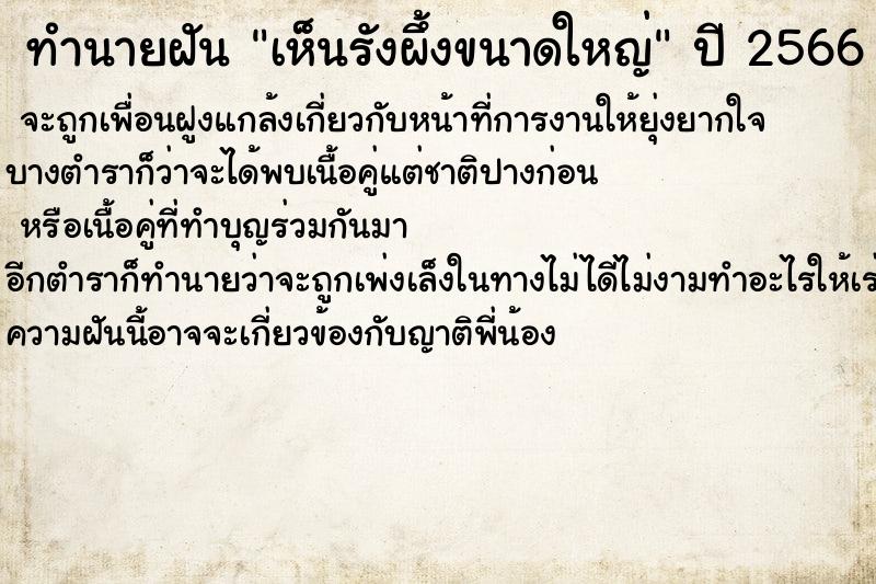 ทำนายฝัน เห็นรังผึ้งขนาดใหญ่ ทำนายฝัน เห็นรังผึ้งขนาดใหญ่