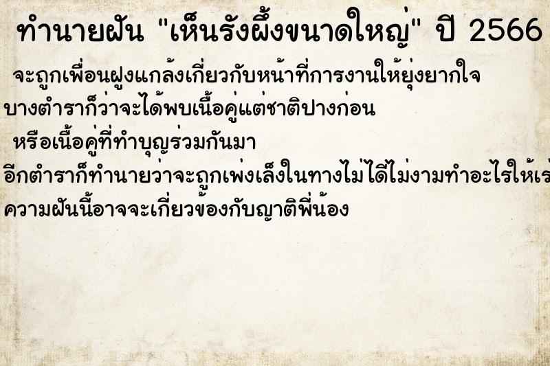 ทำนายฝัน เห็นรังผึ้งขนาดใหญ่ ตำราโบราณ แม่นที่สุดในโลก