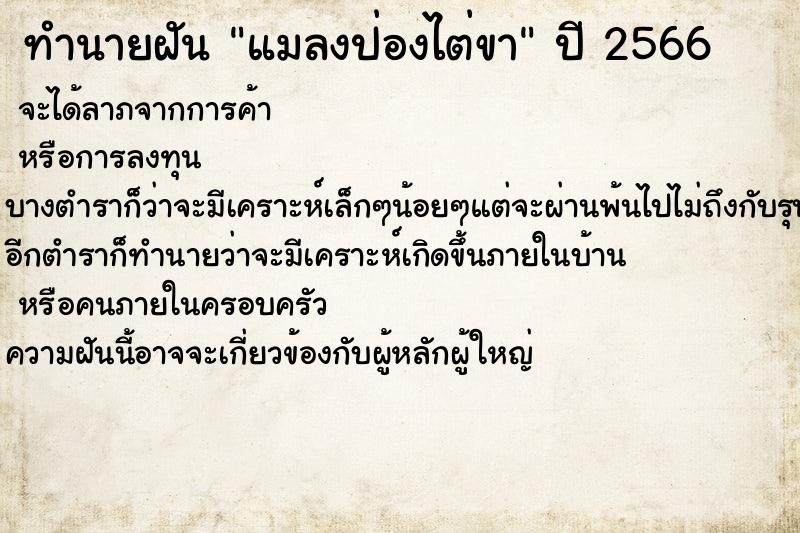 ทำนายฝัน แมลงป่องไต่ขา