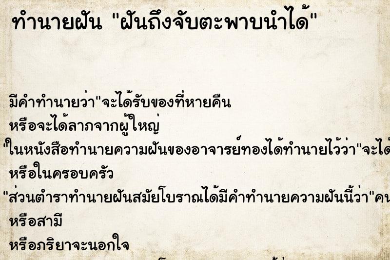 ทำนายฝันทำนายฝันฝันถึงจับตะพาบนำได้