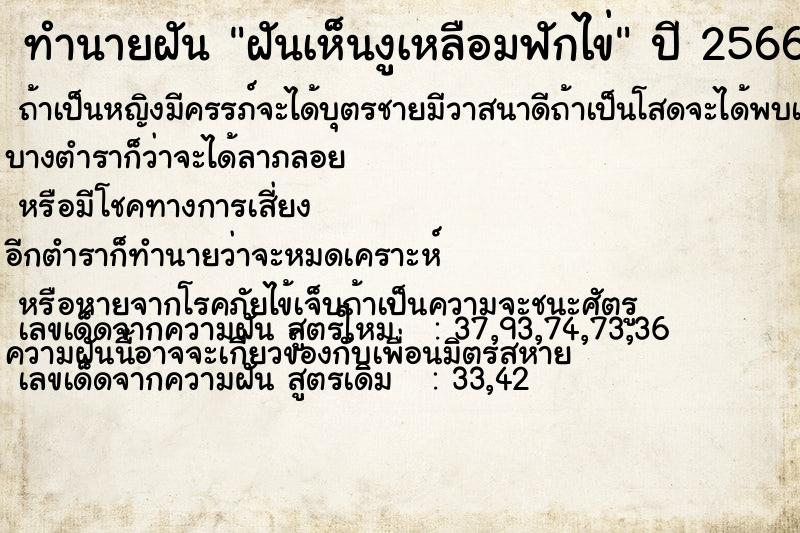 ทำนายฝัน ฝันเห็นงูเหลือมฟักไข่ ทำนายฝัน ฝันเห็นงูเหลือมฟักไข่