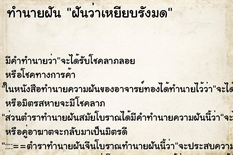 ทำนายฝัน ฝันว่าเหยียบรังมด ทำนายฝัน ฝันว่าเหยียบรังมด