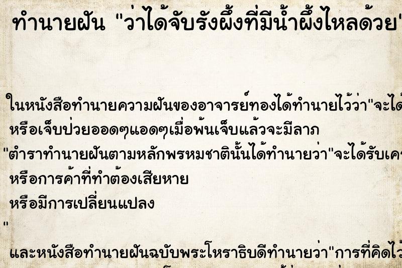 ทำนายฝันว่าได้จับรังผึ้งที่มีน้ำผึ้งไหลด้วย ทำนายฝันทำนายฝันว่าได้จับรังผึ้งที่มีน้ำผึ้งไหลด้วย
