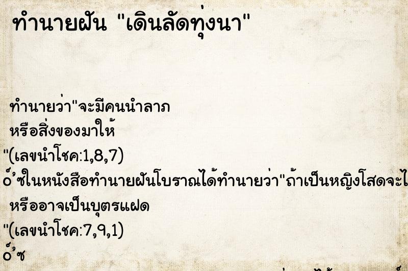 ทำนายฝันเดินลัดทุ่งนา ทำนายฝันทำนายฝันเดินลัดทุ่งนา