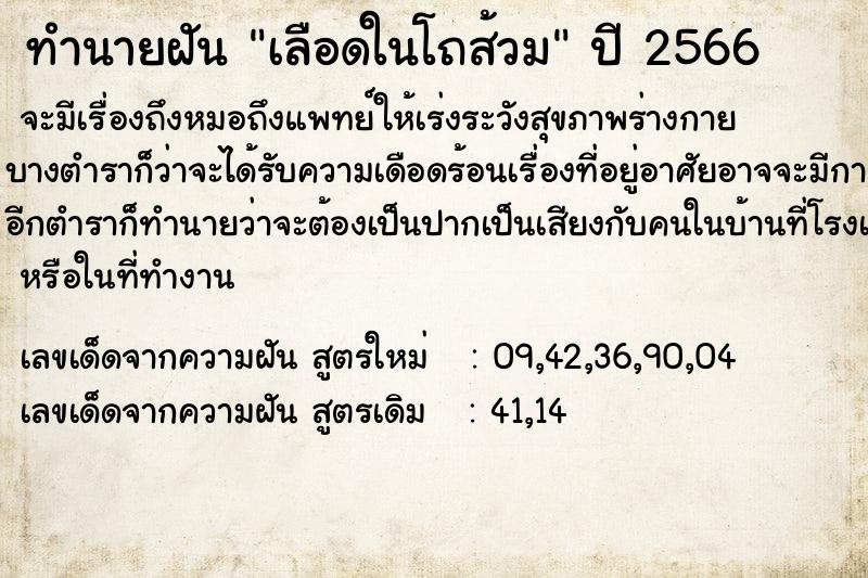 ทำนายฝันเลือดในโถส้วม ทำนายฝันทำนายฝันเลือดในโถส้วม