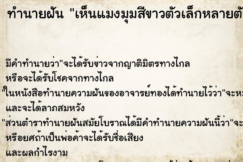 ทำนายฝัน เห็นแมงมุมสีขาวตัวเล็กหลายตัว