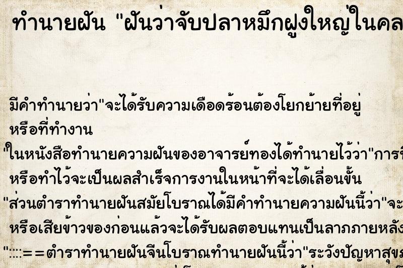 ทำนายฝันทำนายฝันฝันว่าจับปลาหมึกฝูงใหญ่ในคลองน้ำจืด