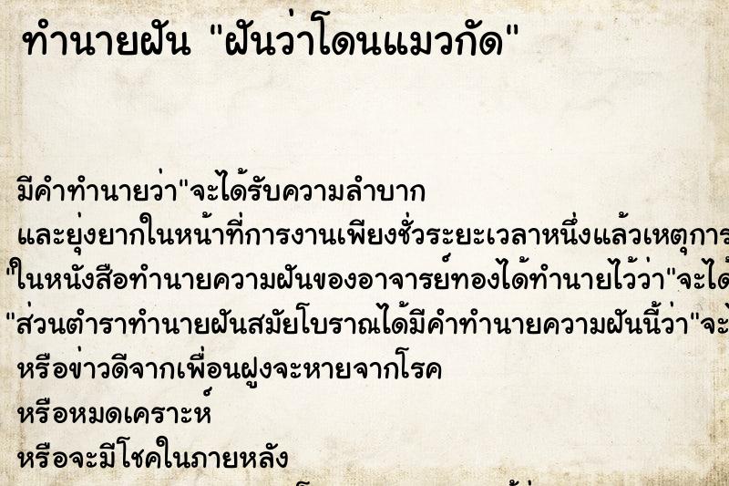 ทำนายฝันฝันว่าโดนแมวกัด ทำนายฝันทำนายฝันฝันว่าโดนแมวกัด
