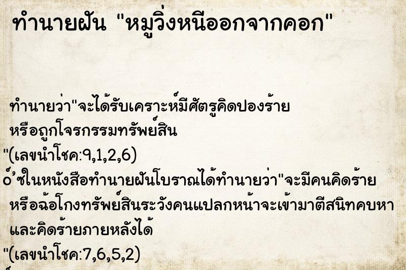 ทำนายฝัน หมูวิ่งหนีออกจากคอก