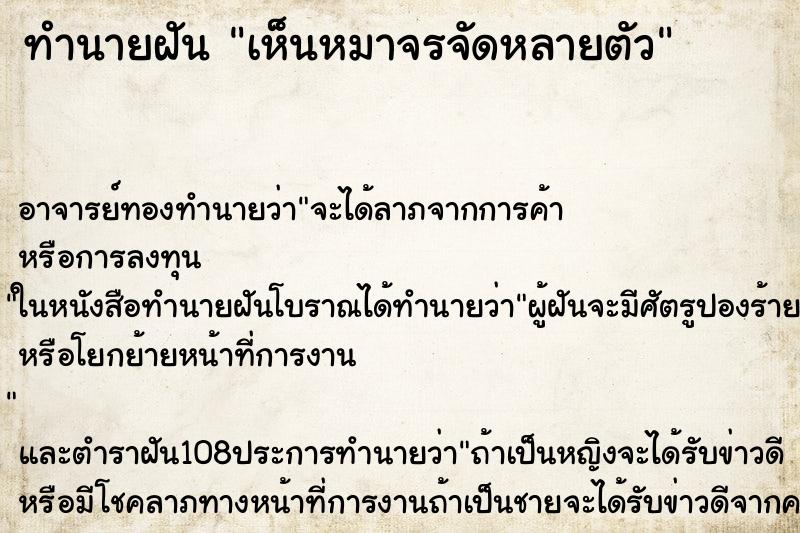 ทำนายฝัน เห็นหมาจรจัดหลายตัว