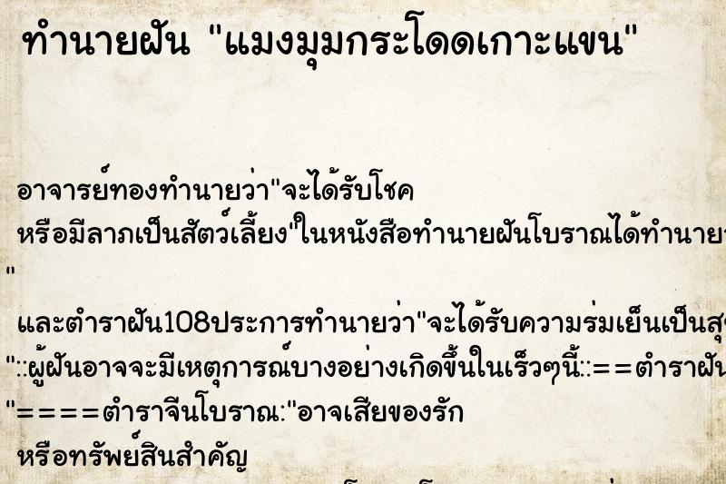 ทำนายฝันแมงมุมกระโดดเกาะแขน ทำนายฝันทำนายฝันแมงมุมกระโดดเกาะแขน