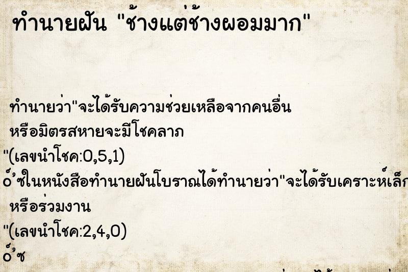 ทำนายฝัน ช้างแต่ช้างผอมมาก
