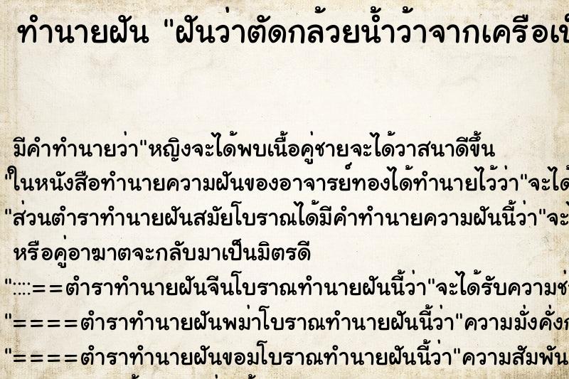 ทำนายฝัน ฝันว่าตัดกล้วยน้ำว้าจากเครือเป็นหวี ทำนายฝัน ฝันว่าตัดกล้วยน้ำว้าจากเครือเป็นหวี