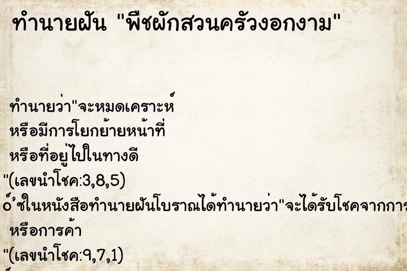 ทำนายฝัน พืชผักสวนครัวงอกงาม ทำนายฝัน พืชผักสวนครัวงอกงาม