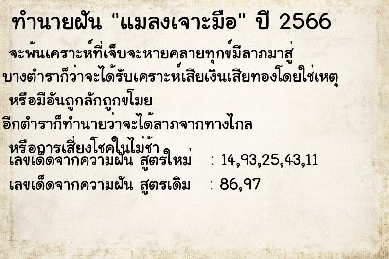 ทำนายฝัน แมลงเจาะมือ ทำนายฝัน แมลงเจาะมือ