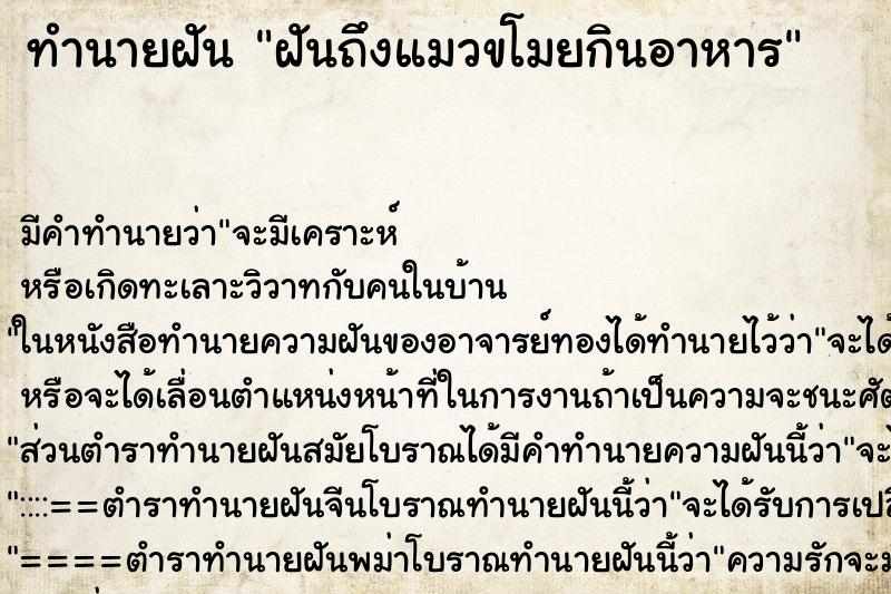 ทำนายฝัน ฝันถึงแมวขโมยกินอาหาร ทำนายฝัน ฝันถึงแมวขโมยกินอาหาร