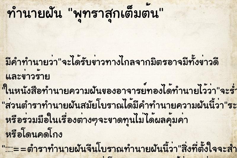 ทำนายฝัน พุทราสุกเต็มต้น ทำนายฝัน พุทราสุกเต็มต้น